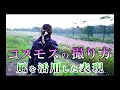 風に揺れるコスモスの撮り方【2021】