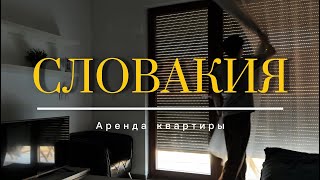 видео: Аренда жилья в Словакии: что нужно знать картинка: Аренда жилья в Словакии: что нужно знать