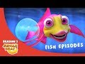 Fabulous Fish  – JB S3 Animal Compilation #1