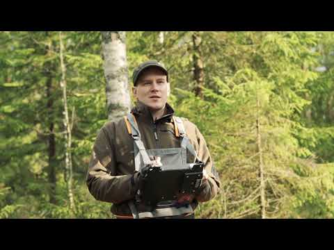 Video: Metsän Päällikkö - Vaihtoehtoinen Näkymä