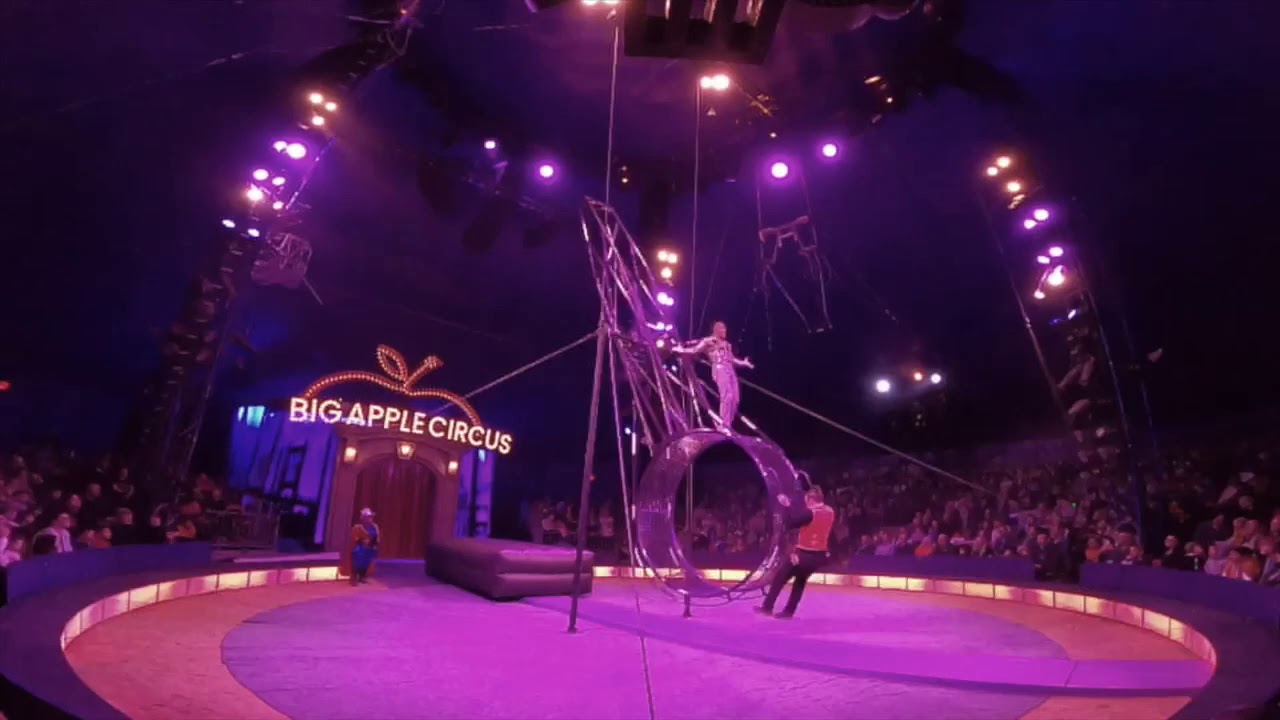 Jayson Domínguez wheel of life