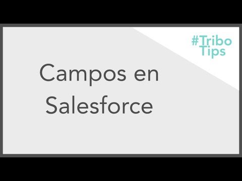 Vídeo: Què és un camp de fórmula a Salesforce?