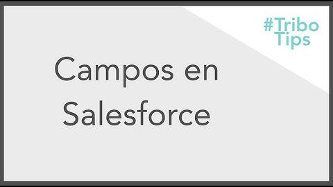 Campos en Salesforce