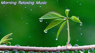 Relaxing easy to sleep music, Relaxing Piano Music - Sleep Music, Water Sounds, Relaxing Music