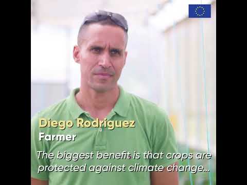 Climate Smart Agriculture in Suriname