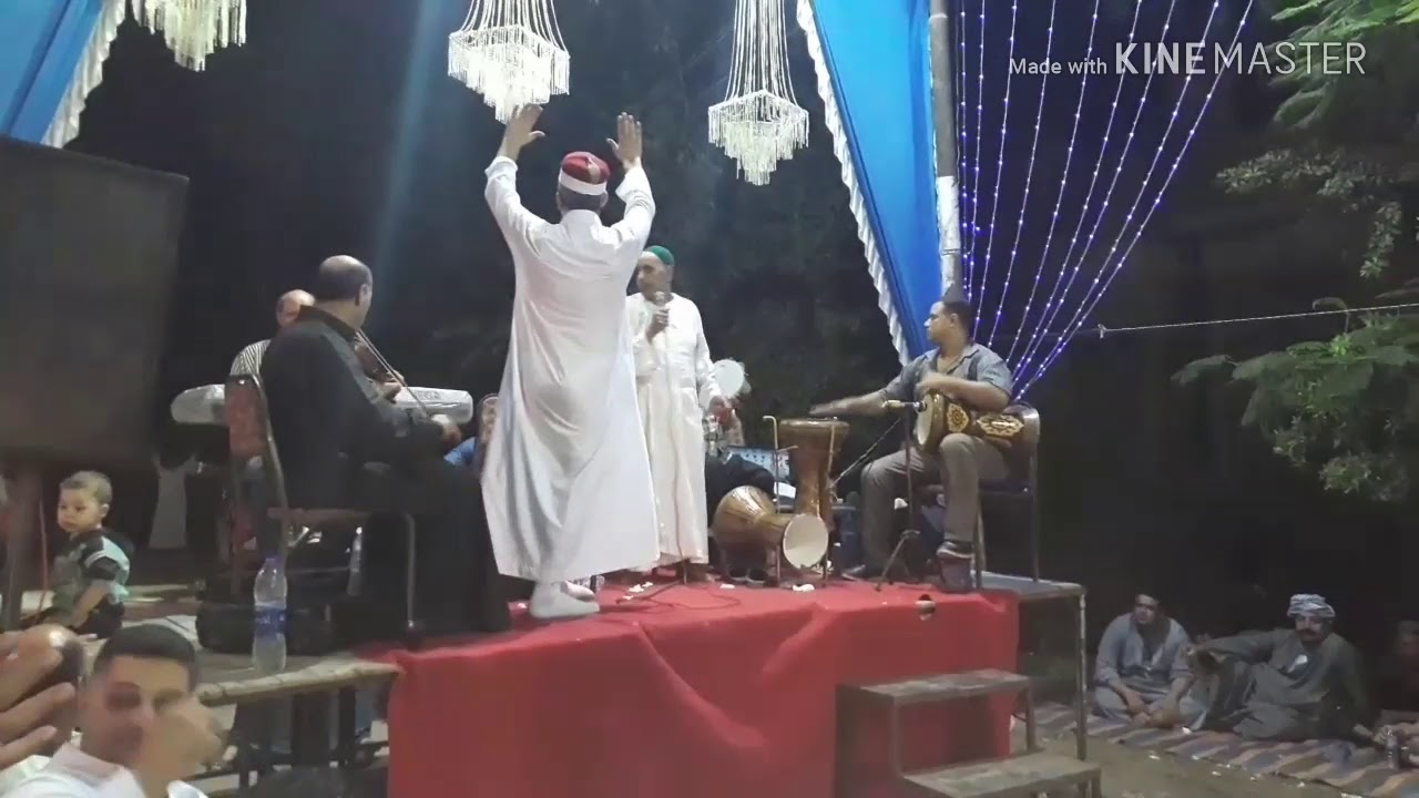 الشيخ محمد فايد