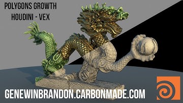 Polygon Growth - Houdini VEX
