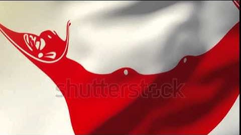 Easter Island flag waving in the wind. Looping sun rises style. Animation loop Stock video by