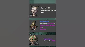 The Best Skins and Heads In Borderlands 2 PT.1 #gaming #borderlands #borderlands2 #shorts