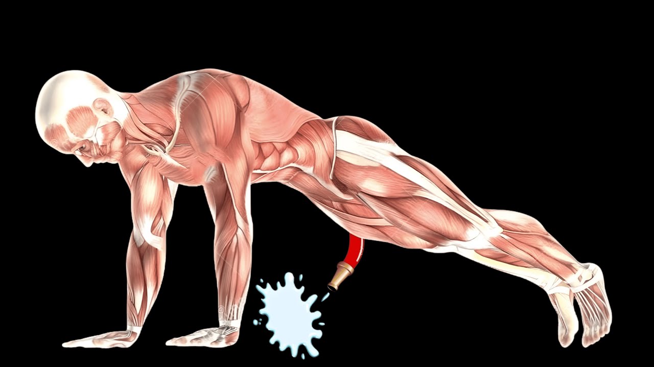 Best Kegel Exercises For Best Male Performance Pelvic Floor Exercises