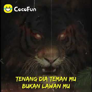 Story wa nyindir teman versi 30 detik versi cocofun