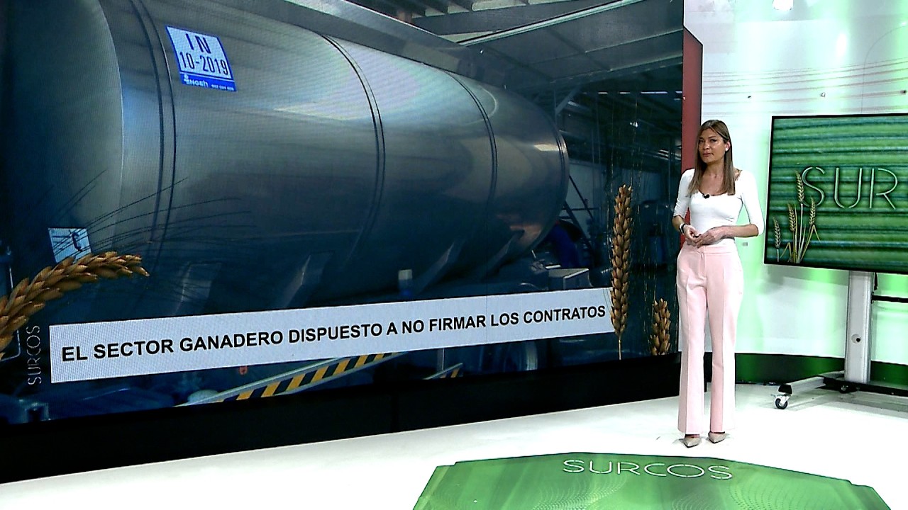 T17/E26: Los ganaderos de vacuno de leche negocian el precio de su producto para los próximos meses. 