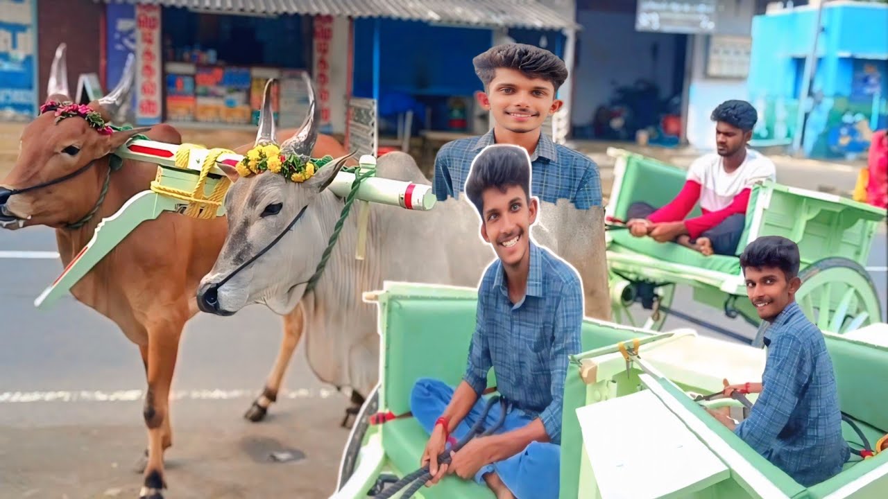 21 வயதில் மாட்டு வண்டியை ஓட்டி 30 வருடம் பின்னே செல்லும் 2k இளைஞர் | Bullack Car Race | Siva Arun Tv