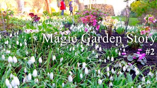 ナチュラルガーデン春の訪れ|イギリス,スコットランド老夫妻の癒しの庭|イングリッシュガーデン|63年間掛け創り上げた秘密の花園|ガーデニング|オープンガーデン2022