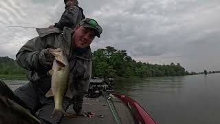 Georgia Bass Trail 2024 | Lake Blackshear