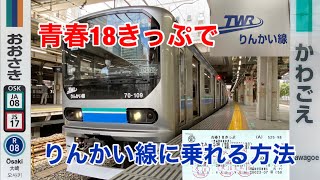 りんかい線70-000形に乗ってきた【青春18きっぷで乗れる私鉄車両】