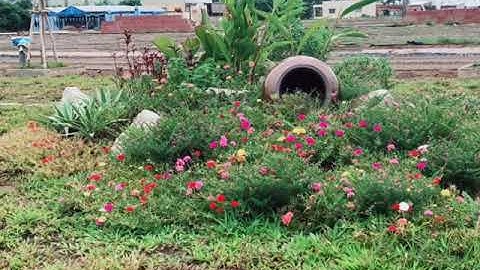 Dự Án Tân Lân Residence Cần Đước Long An, MT QL 50