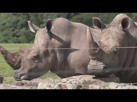 Study Zoology in