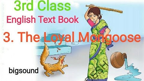 The Loyal Mongoose || 3rd classEnglishlesson || bigsound || Blossoms3 ||APNewSyllabus