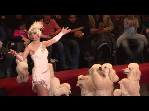 საახალწლო საცირკო წარმოდგენა რუსეთის დასმა გახსნა