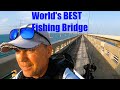 Worlds best fishing bridge was loaded fl keys bridge fishing