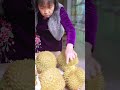 Steal Devil Mother’s durian to honor the elderly! Part3 image