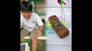 🤣👌👌👌2025 pov Must-Watch Crazy Clips Compilation #humor #fypシ #pov #fyp #foryou 😍😜