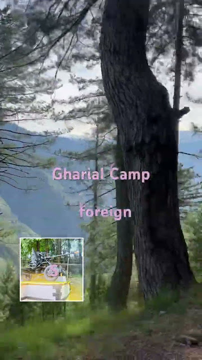 Gharial Camp Clicks #murreetour #tabtabitab π€©