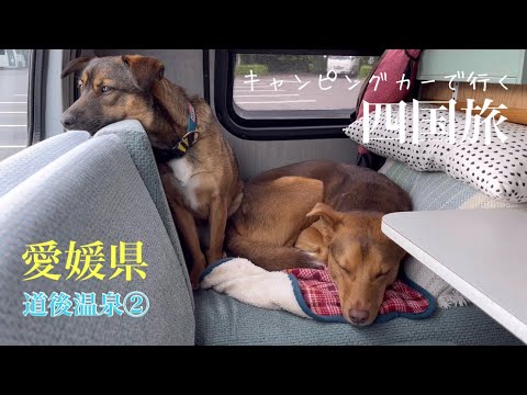 キャンピングカーで四国を旅する野犬の子たち、愛媛県の道後温泉で迎えた朝