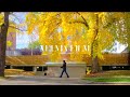 FUJIFILM Velvia Film Recipe | Vibrant Fall Colors in Early October | X-T5 X-T50 X100VI X-M5 X-E5