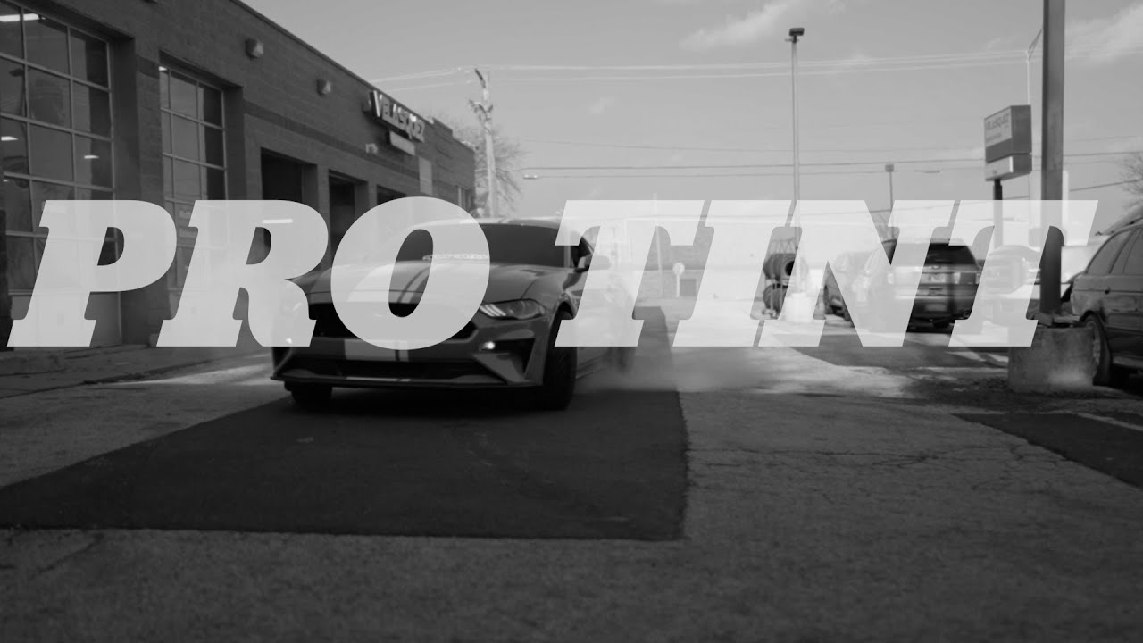 Pro Tint