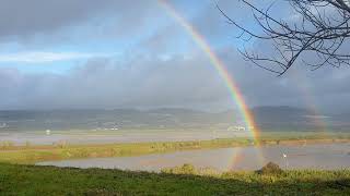 FRIELAS LOURES 2022 #LOURES #PORTUGAL