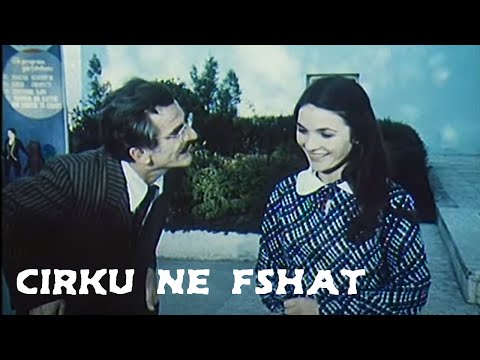 Video: Çfarë është Një Cirk