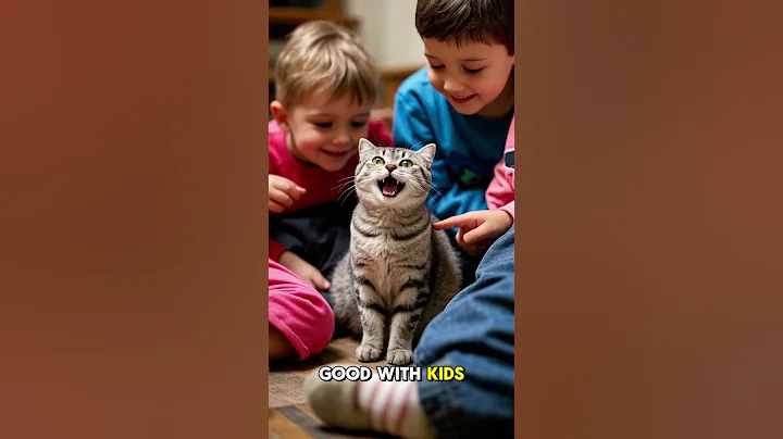 Watch the video about Lovely things about Scottish Fold Cats #viralvideo #viralshorts #cats