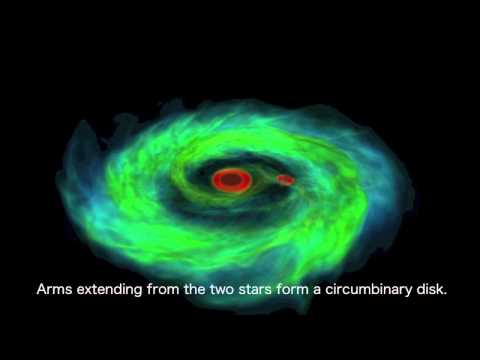 Gas motion around the baby binary stars L1551 NE (supercomputer simulation)