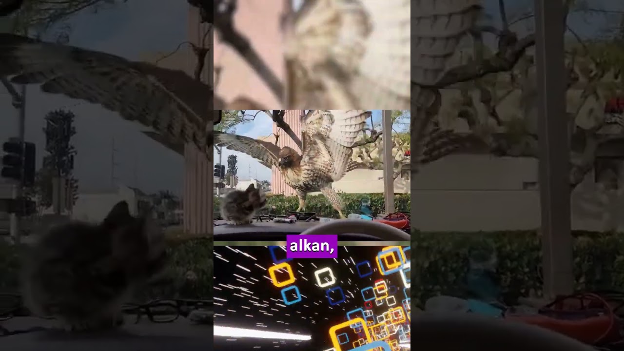 Animals Don't Understand Glass: Why They Can't See Through It 🐾❓