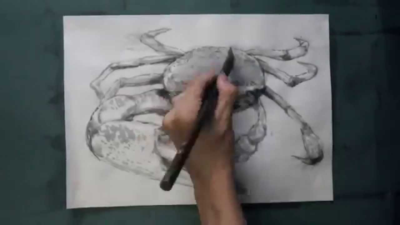 How To Draw 描き方 カニ Crab を墨でデッサン 8倍速 Youtube