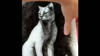 'Cat in the Sun' Wool Drawing Unpeeling by Stephanie Metz 795 views 5 years ago 32 seconds