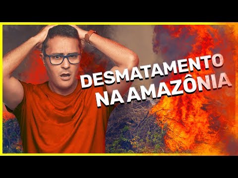 Vídeo: Quais ilhas da Indonésia estão sofrendo desmatamento?