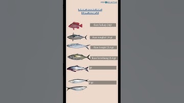 Thumbnail of Kadar protein ikan per 100 gr. Ternyata protein tongkol lebih banyak dari salmon 😱 #shorts #short