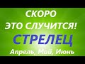 СТРЕЛЕЦ♐таро прогноз на АПРЕЛЬ, МАЙ, ИЮНЬ🌷 второй триместр года! Главные события периода!