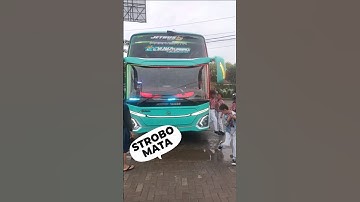 STROBO MATA JB 5 #BUS #strobomata #bussid #BUSMANIA