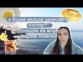 НЕЛЬЗЯ РАЗВОДИТЬ КОСТРЫ В КОРЕЕ.ПОЗДКА НА МОРЕ.ЖАРИМ СОСИСКИ {КОРЕЯ VLOG🇰🇷}
