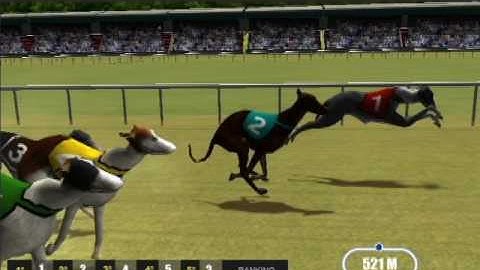 sell Source Code Unity3d VIRTUAL RACE Greyhound