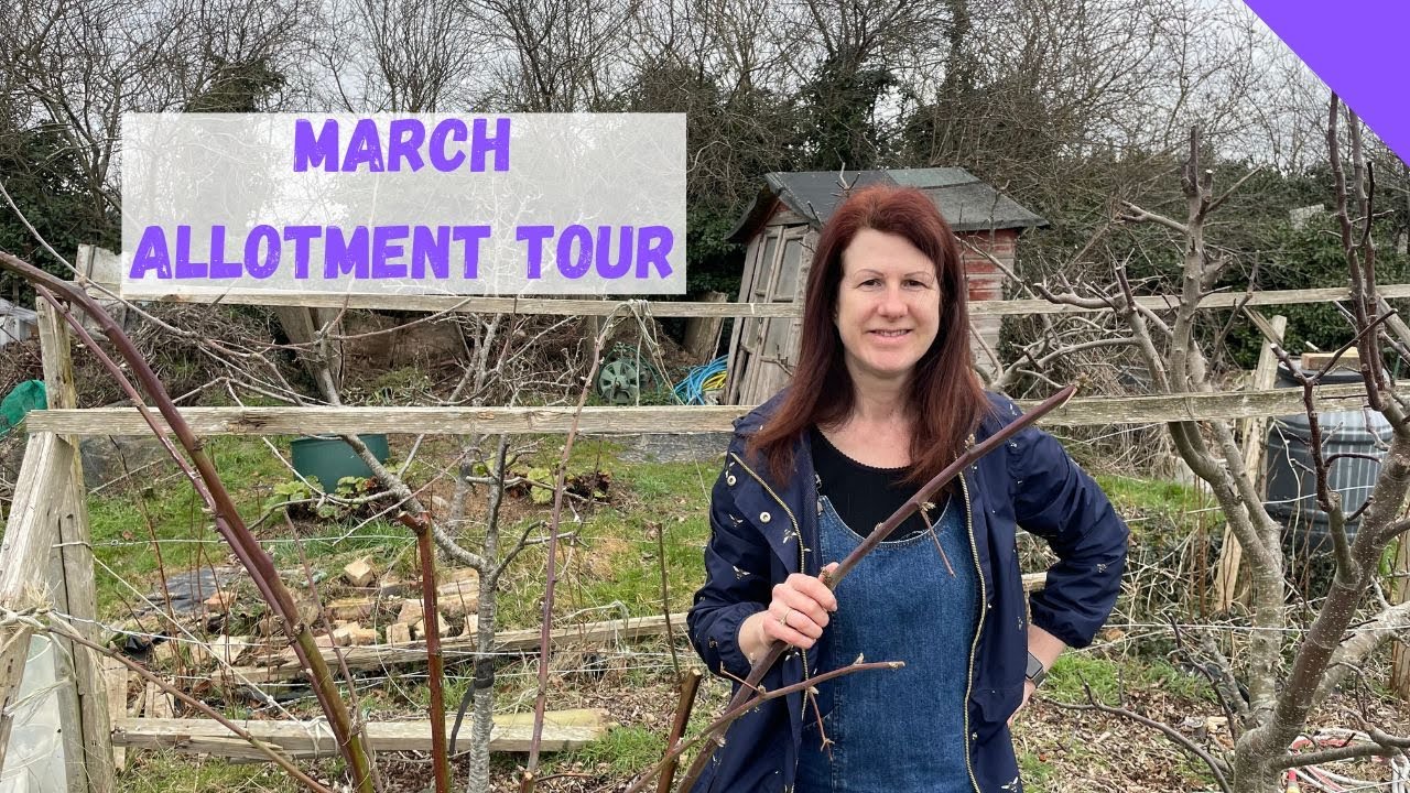 March Allotment Tour - Allotment Gardening For Beginners UK 2023 - YouTube
