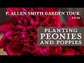 Planting Peonies & Poppies | Spring Garden Preps: P. Allen Smith (2019)