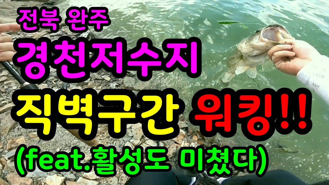 배스낚시 전북 완주 경천저수지 직벽구간 워킹!!(feat. 활성도 미쳤다) Bass Precipice Walking. Big