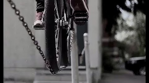 KITTENS - Sean Watson