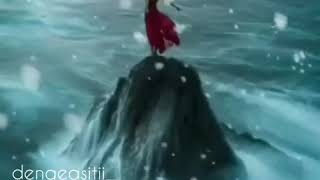 Ayı Rekamın Dure 55