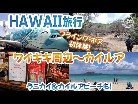 【ハワイ旅行】ワイキキ＆カイルア編！ANAフライングホヌ初体験♪ライオンコーヒー・ホノルルコーヒーへ。カイルアでは自転車でラニカイビーチ！